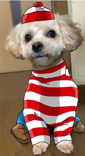 生き物ルーム第38