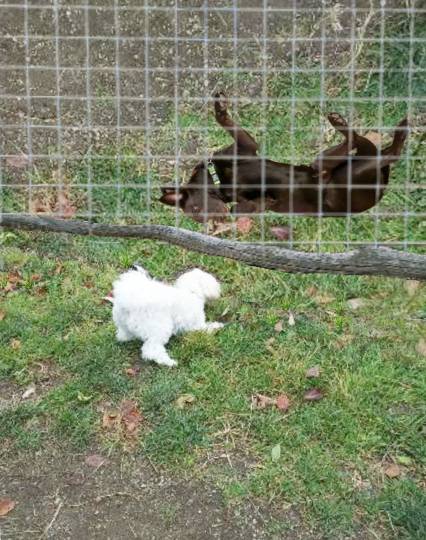 生き物ルーム第37