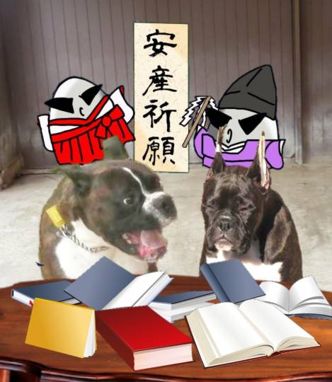 生き物ルーム第39