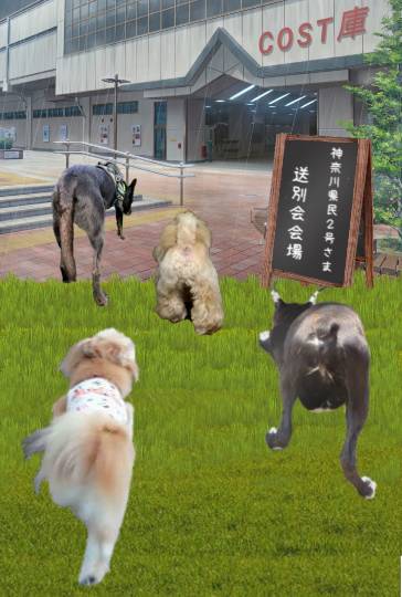 生き物ルーム第36