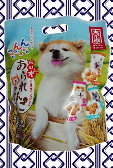 生き物ルーム第38