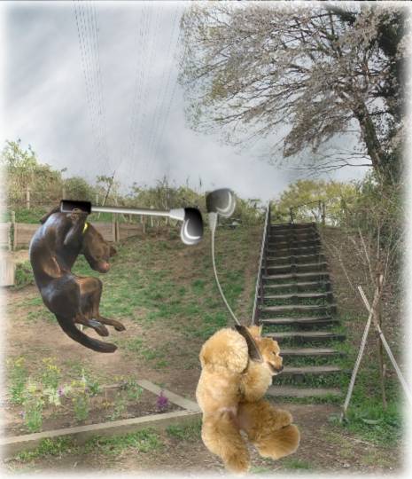 生き物ルーム第39