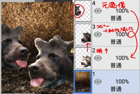 生き物ルーム第38