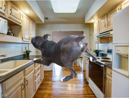 生き物ルーム第38