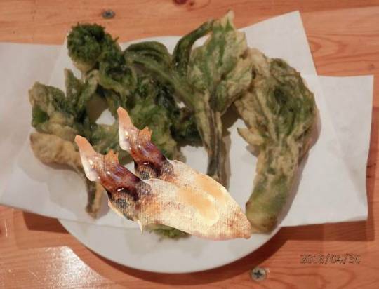 生き物ルーム第37