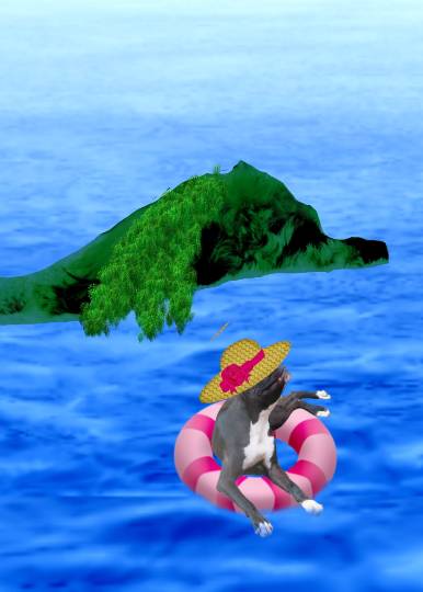 生き物ルーム第39