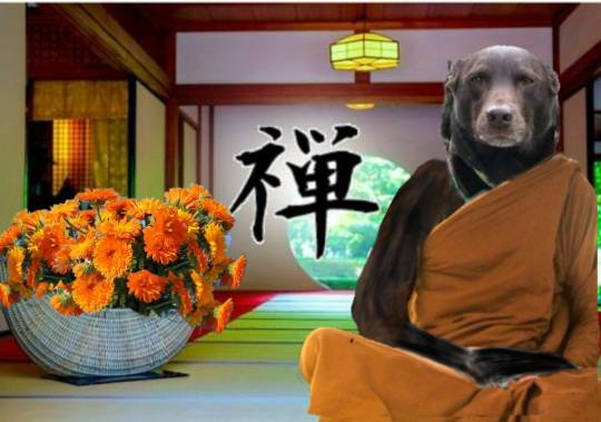 生き物ルーム第37