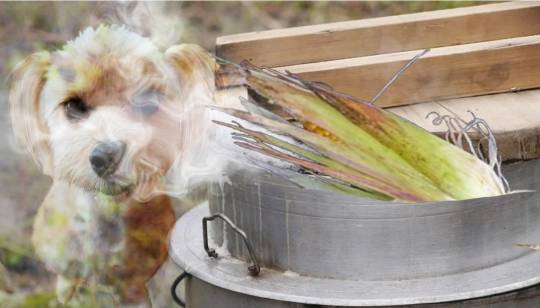 生き物ルーム第37