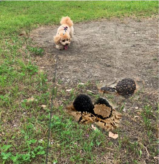 生き物ルーム第38