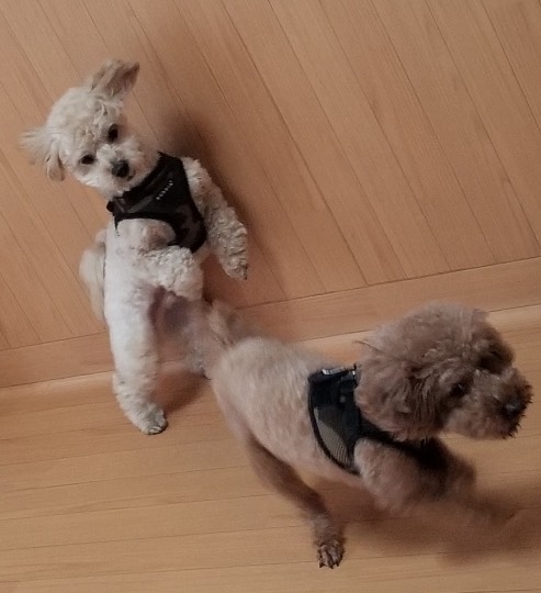 生き物ルーム第37