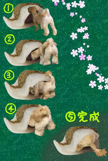 生き物ルーム第37