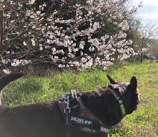 生き物ルーム第39