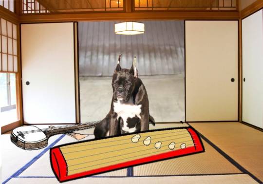 生き物ルーム第38