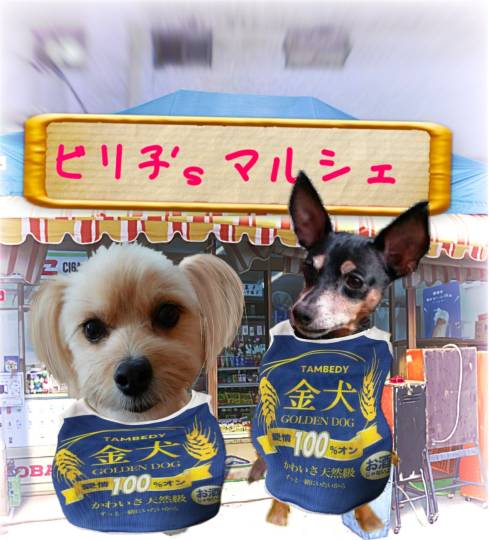 生き物ルーム第38