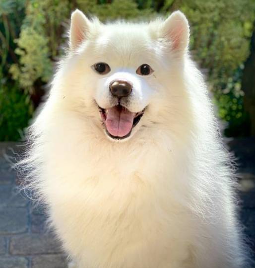 生き物ルーム第39