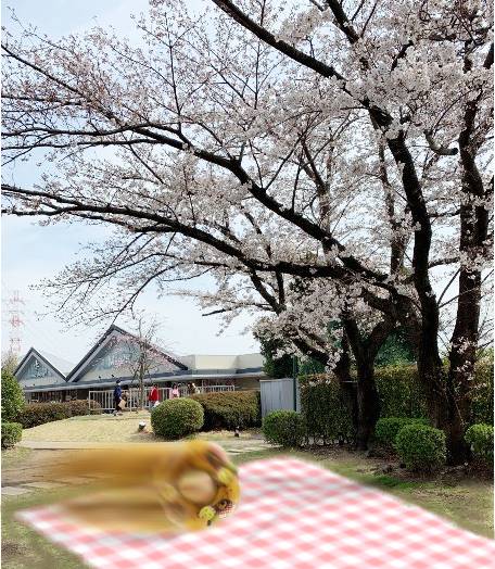 マスク同窓会詰所兼ニューフェイス歓迎所19