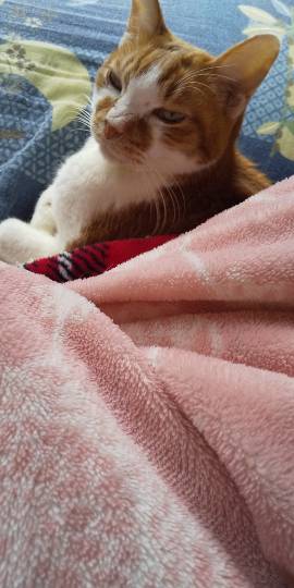 生き物ルーム第38