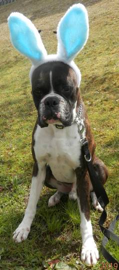 生き物ルーム第37