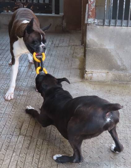 生き物ルーム第36