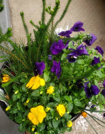 マスク同窓会詰所兼ニューフェイス歓迎所17