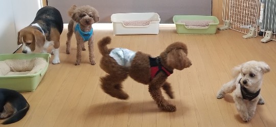 生き物ルーム第37