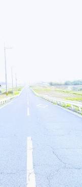 つぶやき57 なるようにする2021