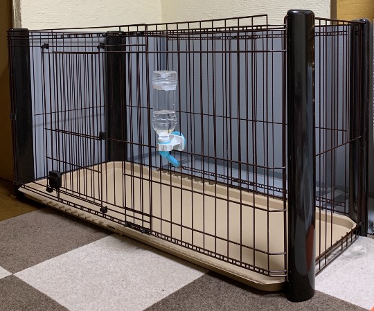 生き物ルーム第36