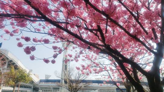 マスク同窓会詰所兼ニューフェイス歓迎所18