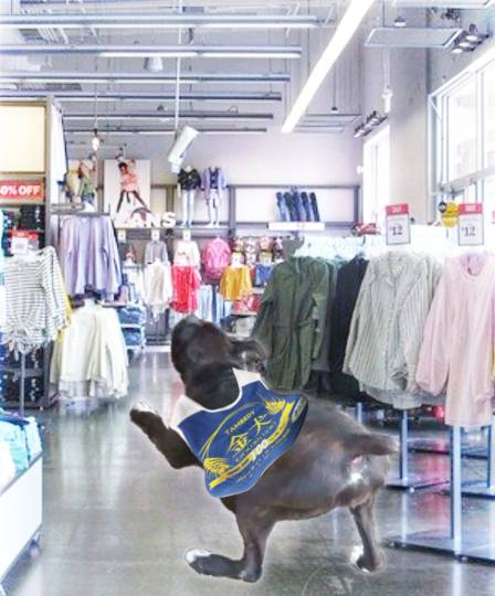 生き物ルーム第38