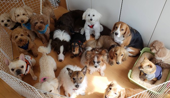 生き物ルーム第38