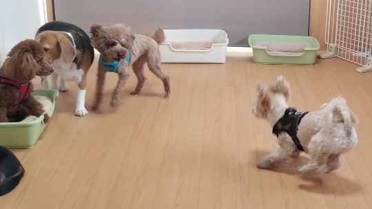 生き物ルーム第37