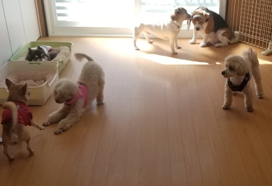 生き物ルーム第39