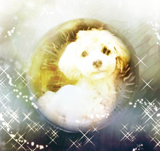 生き物ルーム第37