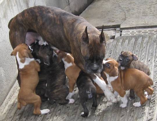 生き物ルーム第39