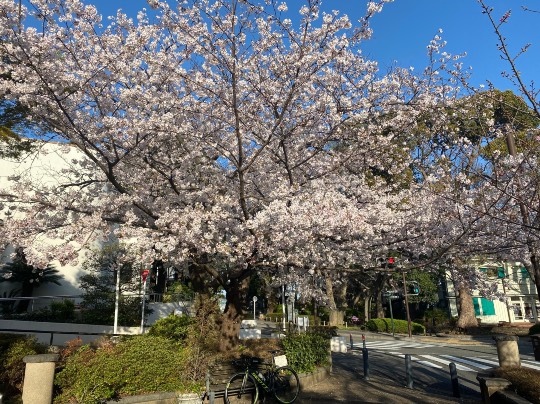 ★ドンキ♡♡ロピア 雑談22★
