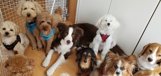 生き物ルーム第38