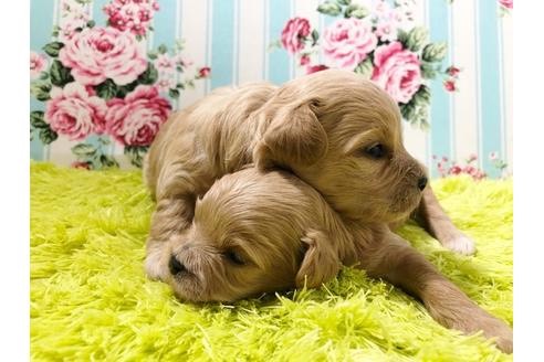 生き物ルーム第38