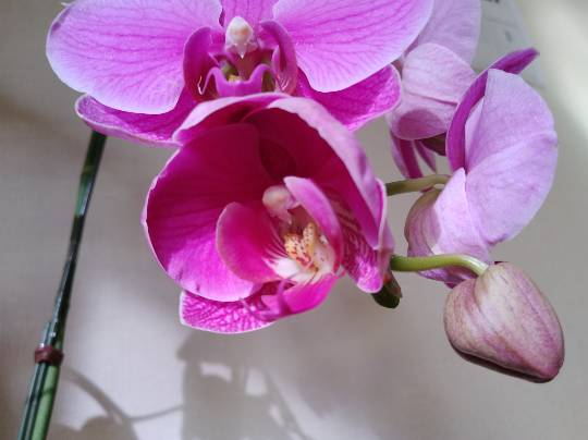 ★ドンキ♡♡ロピア 雑談23★