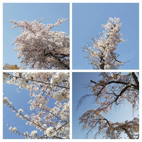 【スナックJINJIN】ここまできたよ！12号店!!　ちょいとよっていかないかい～(^^)