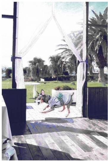 生き物ルーム第38