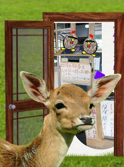 生き物ルーム第37