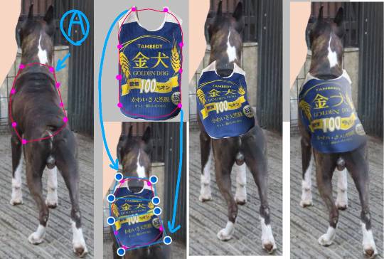 生き物ルーム第38