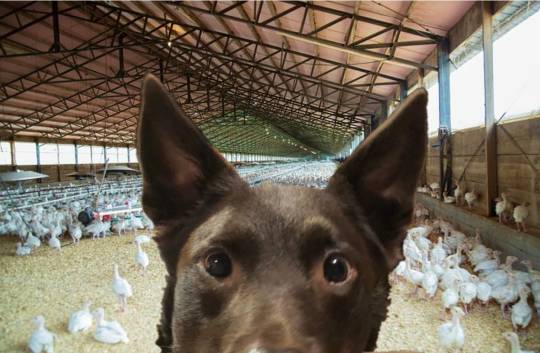 生き物ルーム第37