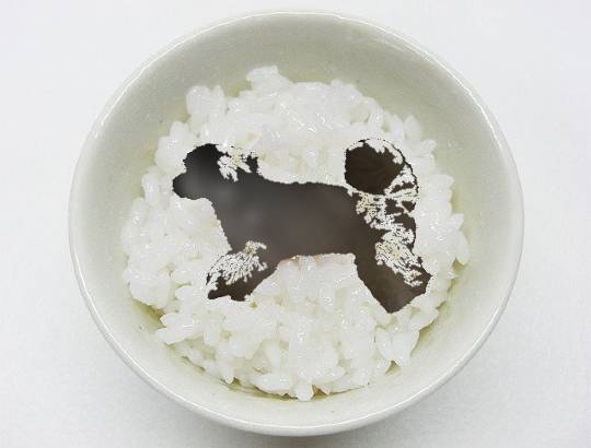 生き物ルーム第37