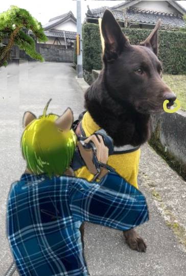 生き物ルーム第38