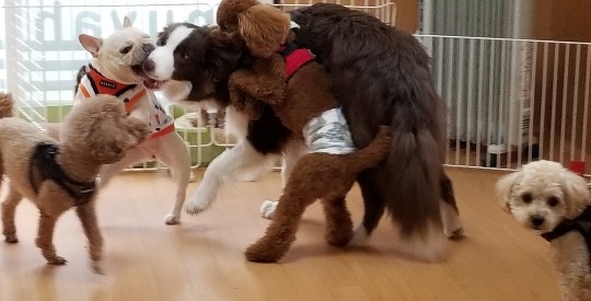 生き物ルーム第37