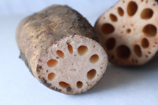 ★ドンキ♡♡ロピア 雑談19★