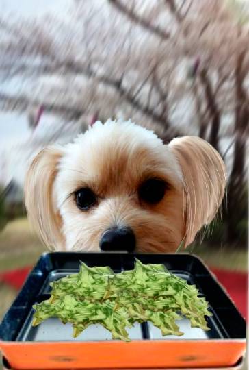 生き物ルーム第39