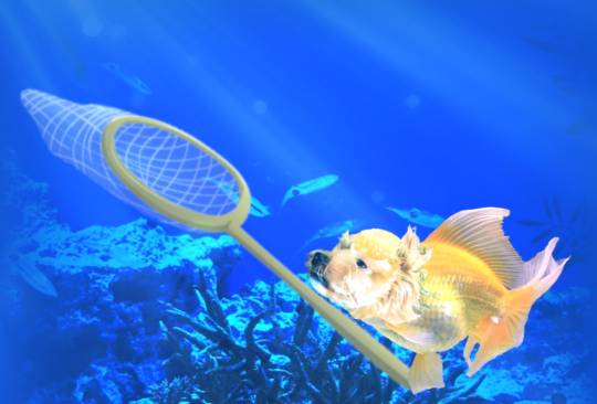 生き物ルーム第38