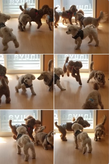 生き物ルーム第39